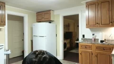 lilly_adams88 online show from 11/24/25, 11:04