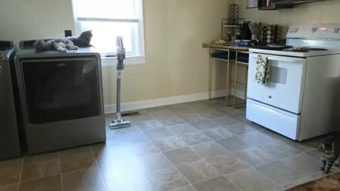 lilly_adams88 online show from 03/21/26, 09:51