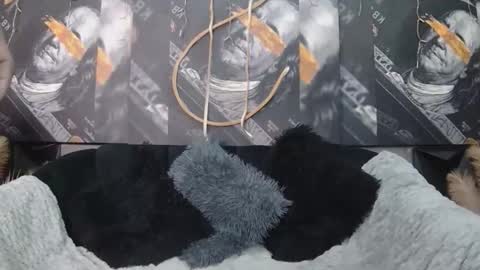 lilmissbaddiexxx online show from 05/05/26, 06:16