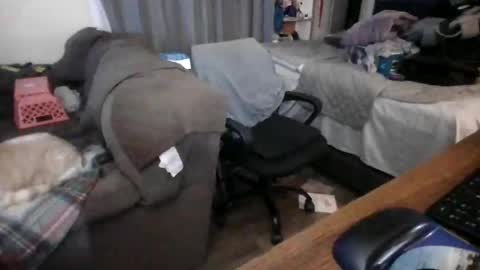 lilpackage69 online show from 01/29/25, 03:44