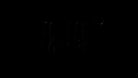 Snapshot of lilpresident chatting on 01/23/25, 07:51 lilpresident online show from 01/23/25, 07:51