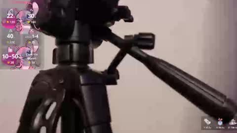 Lily online show from 11/07/25, 03:50