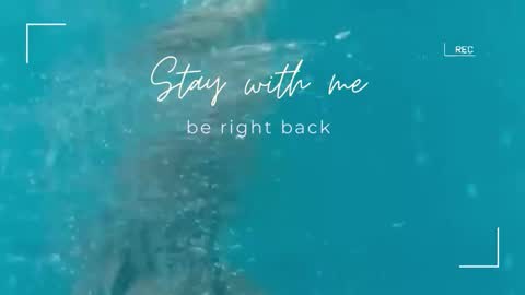 Snapshot of lily_foster_ chatting on 11/10/25, 06:45 Lily online show from 11/10/25, 06:45