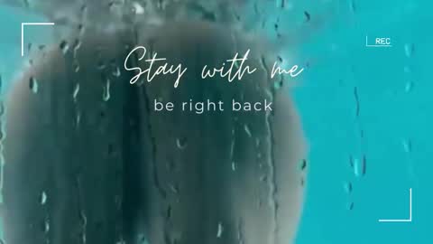 Snapshot of lily_foster_ chatting on 12/19/25, 07:04 Lily online show from 12/19/25, 07:04