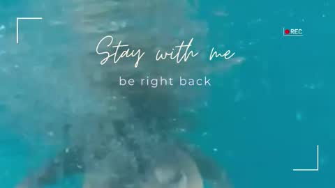 Snapshot of lily_foster_ chatting on 02/04/26, 06:08 Lily online show from 02/04/26, 06:08