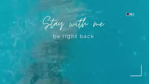 Snapshot of lily_foster_ chatting on 03/06/26, 07:38 Lily online show from 03/06/26, 07:38