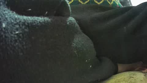 lily lovelyman online show from 02/23/25, 07:11