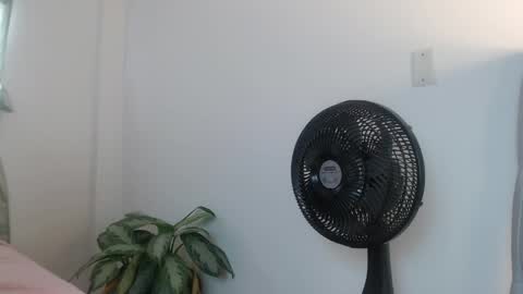 lily_rose0 online show from 06/04/26, 08:04