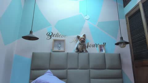 Lily online show from 02/25/25, 08:03