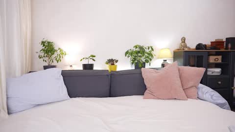 -- My Wishlist  online show from 02/15/26, 07:51