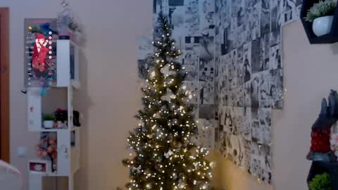 Lina online show from 12/14/24, 05:47