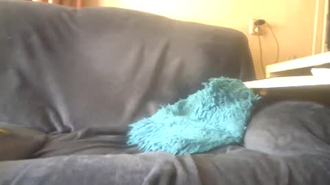 lion160868 online show from 02/03/25, 10:14