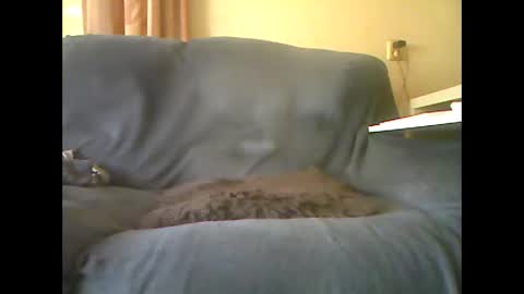 lion160868 online show from 10/26/25, 10:32