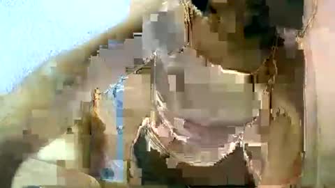 Snapshot of liora_selene chatting on 03/11/25, 06:53 liora online show from 03/11/25, 06:53