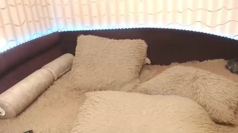 LIpsAddiction online show from 10/20/25, 12:38