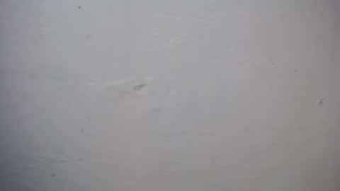 lisa_branch online show from 11/27/25, 07:27