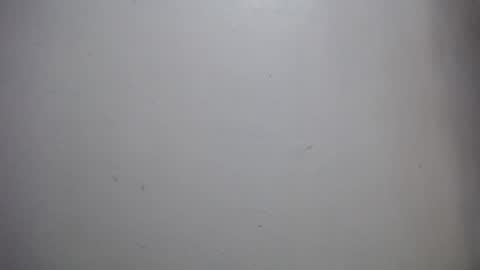 lisa_branch online show from 12/14/25, 11:59