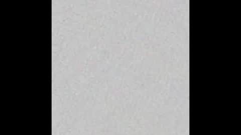 Adaline online show from 11/23/25, 05:29