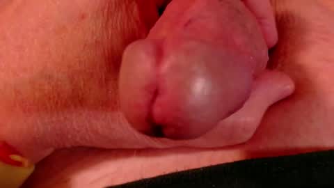 Littlebits online show from 02/23/26, 04:43