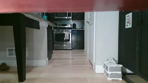 Littlleclitty247 online show from 09/11/25, 09:48