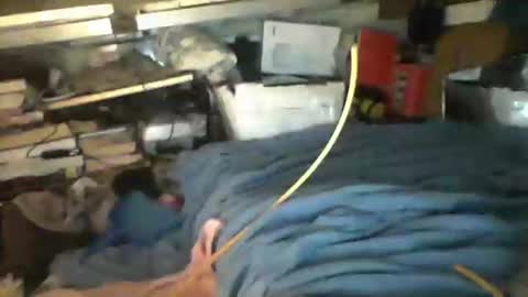 Snapshot of littlejay4773 chatting on 10/04/25, 07:17 littlejay littlejay online show from 10/04/25, 07:17