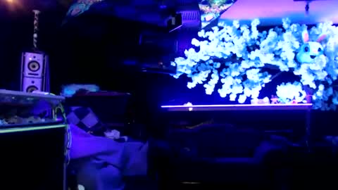 GentleViolet online show from 01/15/25, 08:09