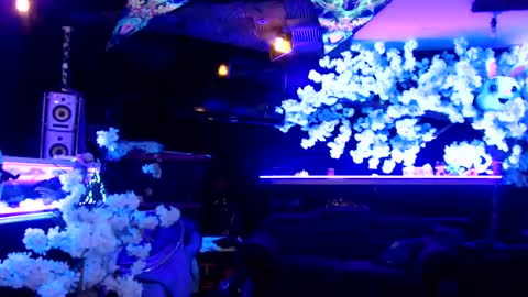 GentleViolet online show from 01/21/25, 04:54