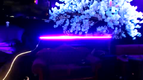 GentleViolet online show from 01/30/25, 05:52