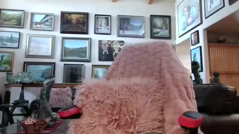 Miss D   Shows Mon Wed  Fri online show from 04/13/26, 07:19