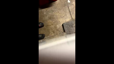 Little Tj online show from 05/25/26, 04:29