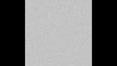 Eliana online show from 11/17/25, 08:09