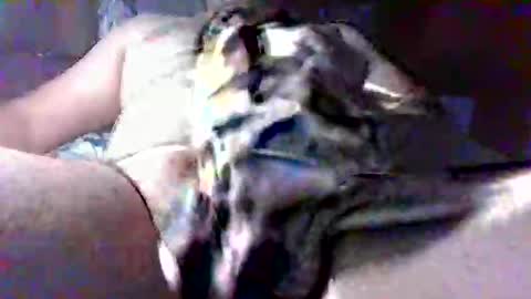 litwinpaweel online show from 10/28/25, 08:22