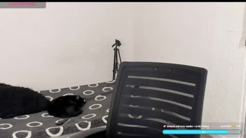 Liu help me to reach 100 thumps up daddy online show from 04/06/26, 09:38