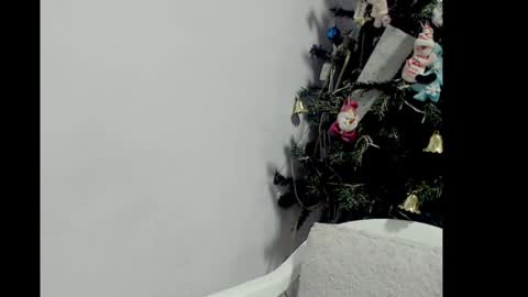 lizz1305 online show from 12/26/24, 03:20