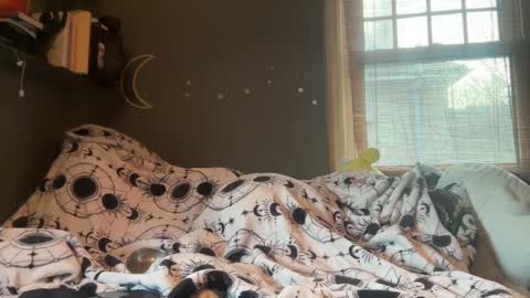 Snapshot of lizzyylovesick chatting on 03/05/25, 04:57 lizzybunny online show from 03/05/25, 04:57