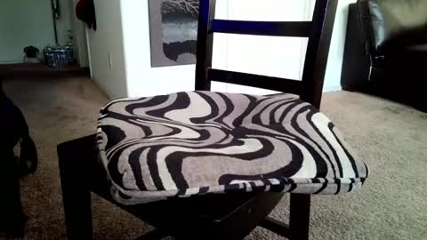 LL Cool Jake online show from 03/16/26, 02:21