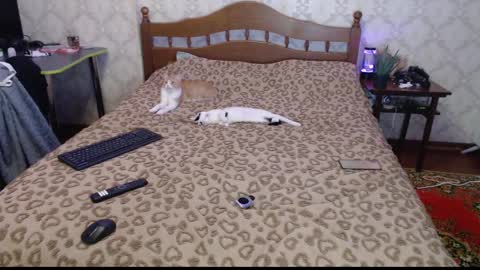 Sevy online show from 12/30/24, 12:11