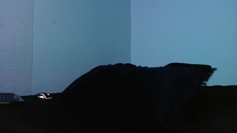 Snapshot of lliamm_2 chatting on 09/27/25, 05:23 lliamm 2 online show from 09/27/25, 05:23