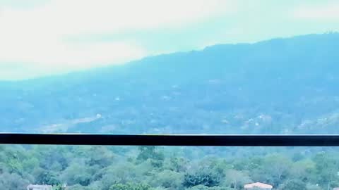 Lynx Mist online show from 01/13/26, 09:53