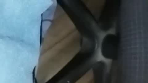 loco_boy007 online show from 02/16/26, 07:10