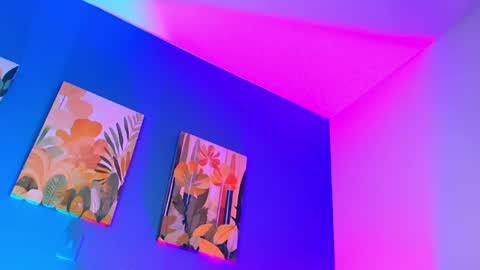 Logan online show from 04/25/26, 01:41