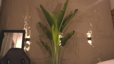 logan_varela online show from 03/01/25, 09:18