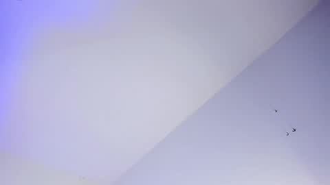 Logan online show from 10/16/25, 08:04