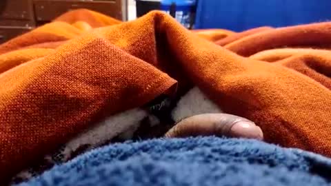 loganncky online show from 03/05/26, 07:59