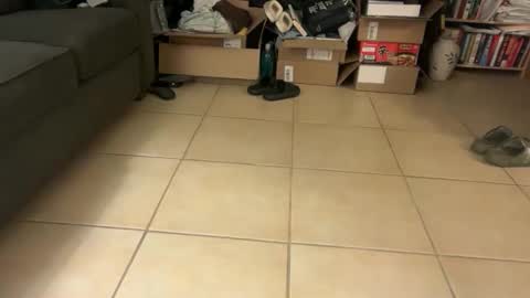 logical12345 online show from 01/19/26, 06:39