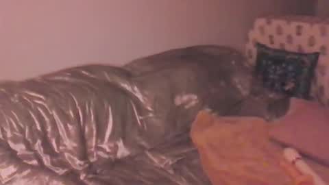 Lola Peach xo online show from 03/20/26, 12:26