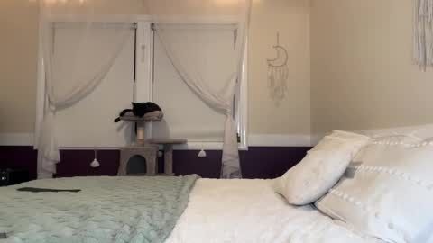 Lola 3 online show from 12/17/24, 03:28