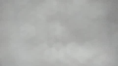 L O L Y -- E B O N Y online show from 04/17/26, 08:23