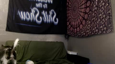 Snapshot of londonray chatting on 06/02/26, 11:40 londonray online show from 06/02/26, 11:40