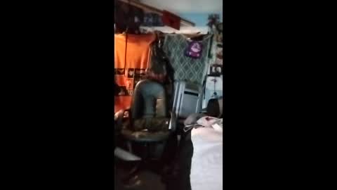 Mr. FogoDeChao online show from 02/03/26, 06:46